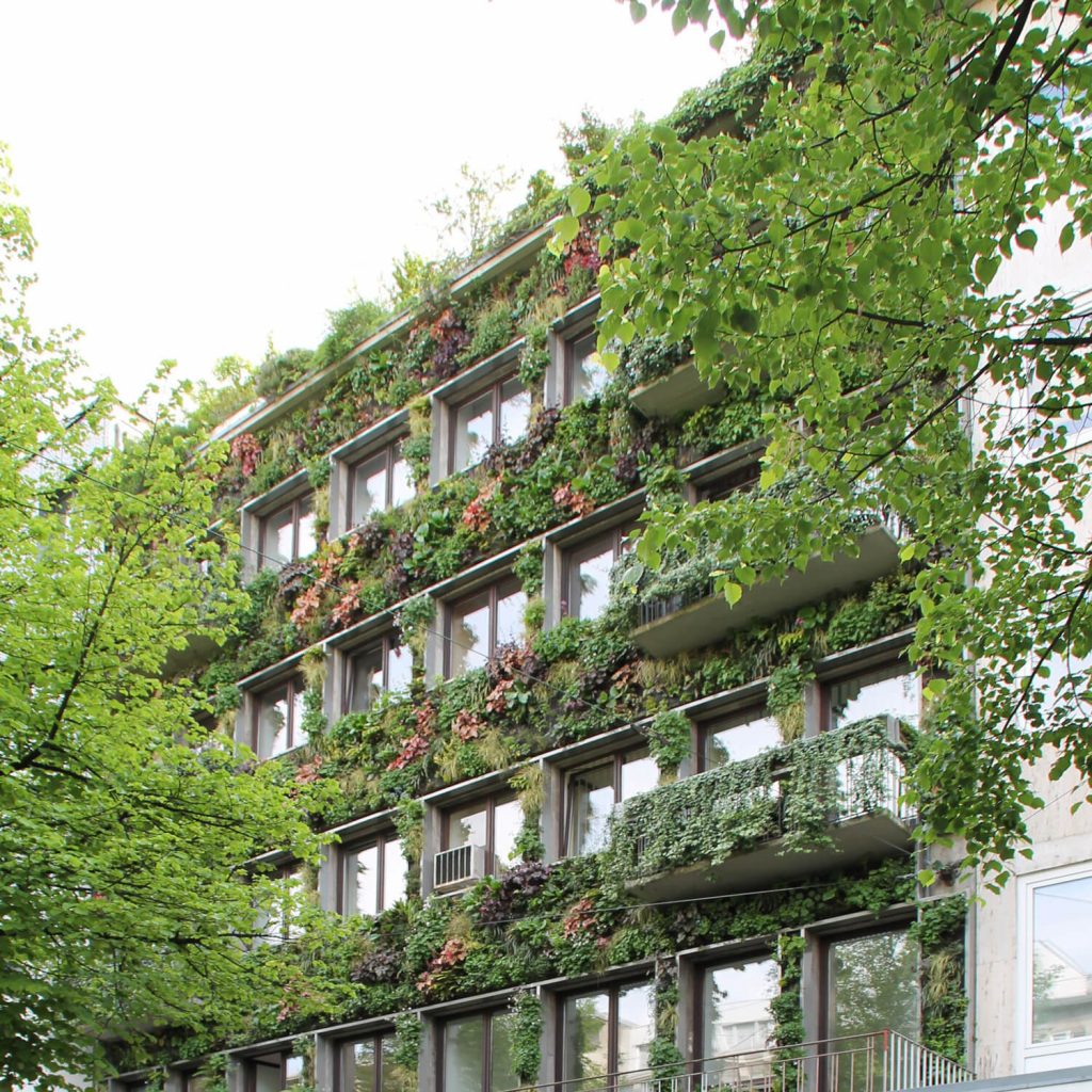 Fassadenbegrünung am Haus in O7 in der Mannheimer Innenstadt